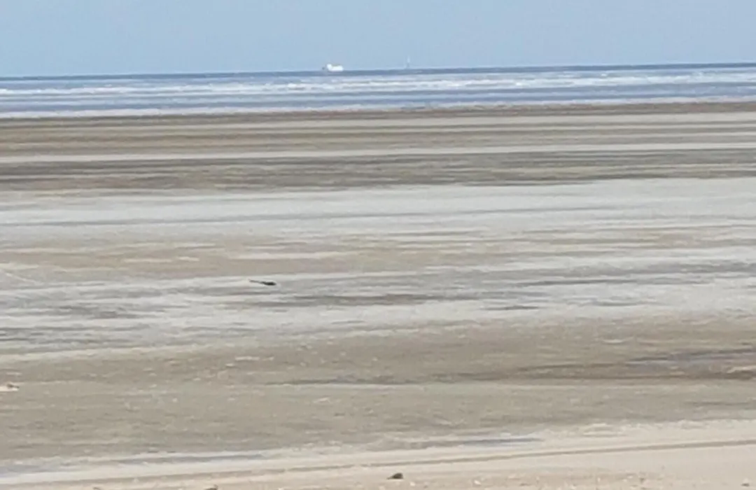 Gemütliches Apartment direkt am Strand-1